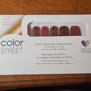 Color Street - Wing It On